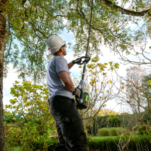 EGO PS1003E teleskop-stangsav - Billede 3