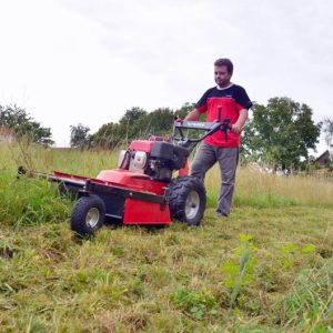 Vari F-700 grovklipper - Billede 6