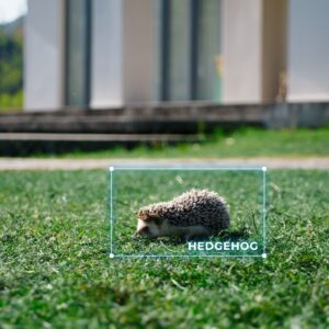 DCK Robotplæneklipper TERRAINA S 1000 kvm - Billede 8